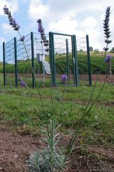  GEOboden - Lavendel-Projekt - Klimastation  