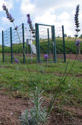 GEOboden - Lavendel-Projekt - Klimastation GEOboden - Lavendel-Projekt - Klimastation